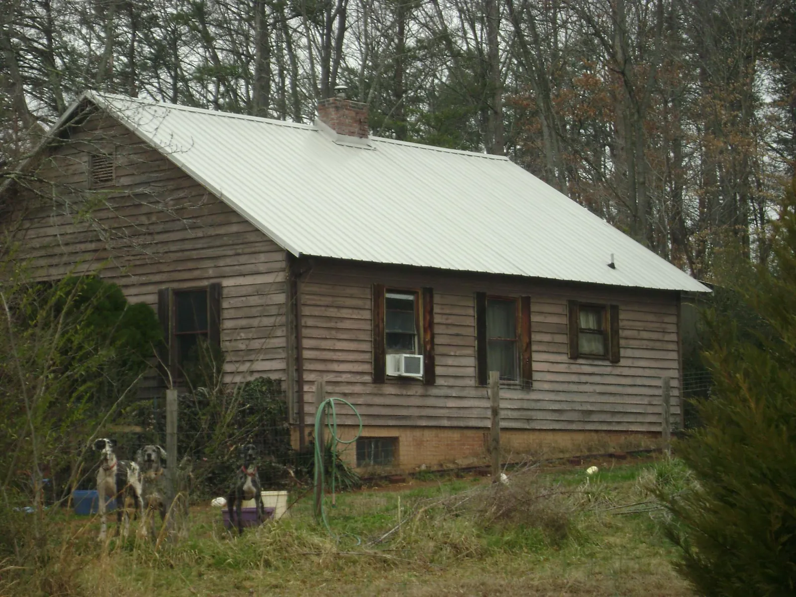 White metal roof on an old wood sided farmhouse, from a Asphalt Shingle Roof Repair job in East Pembroke